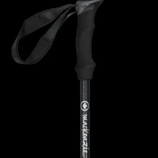 2 Pcs Alu Pole, Snoskostavar