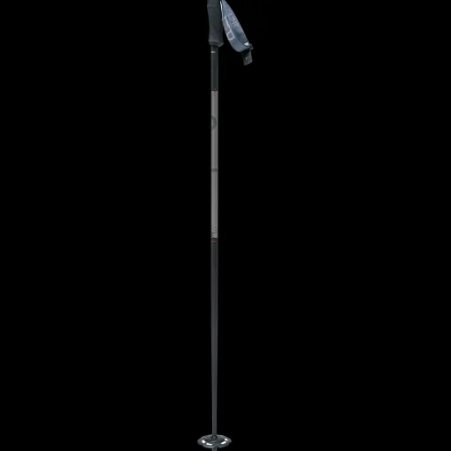 Alpine Poles Plus Line Dark 22/23, Skidstavar Unisex