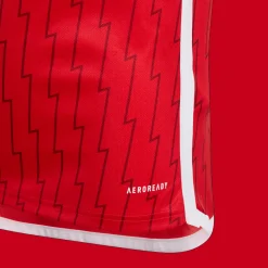 Arsenal Fc Home Jersey Y 2023/24, Fotbollsdrakt, Junior