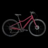 Ax+ 290 Ff Ane 22, Hybridcykel, Dam