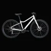 Ax 290 Ff Ane 23 Hybridcykel, Dam