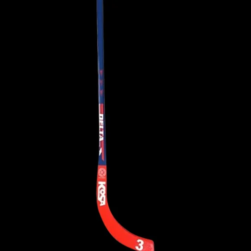 Bandysticks Delta 3-20, Bandyklubba Senior