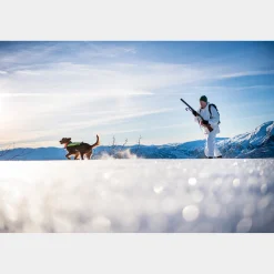 Bc Skis Kongsvold Hunter 23/24, Jaktskida Senior