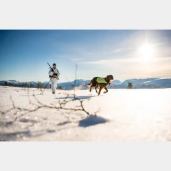 Bc Skis Kongsvold Hunter 23/24, Jaktskida Senior