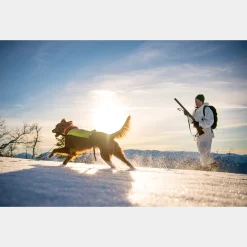 Bc Skis Kongsvold Hunter 23/24, Jaktskida Senior