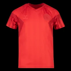 Denmark Home Jersey Ss Jr / Wc22, Fotbollsdrakt Junior