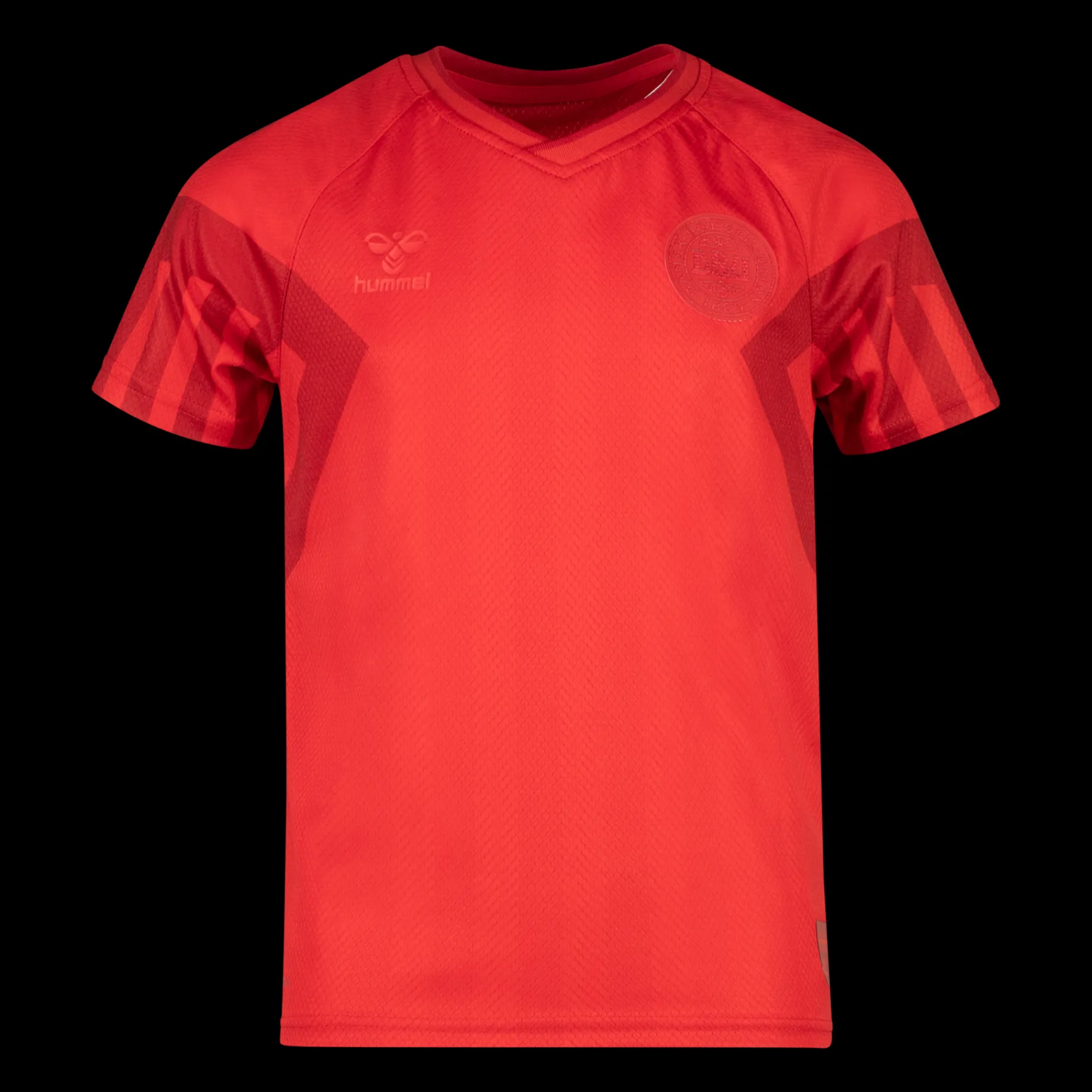 Denmark Home Jersey Ss Jr / Wc22, Fotbollsdrakt Junior