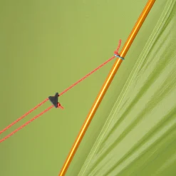 Domino 2, Vandringstalt