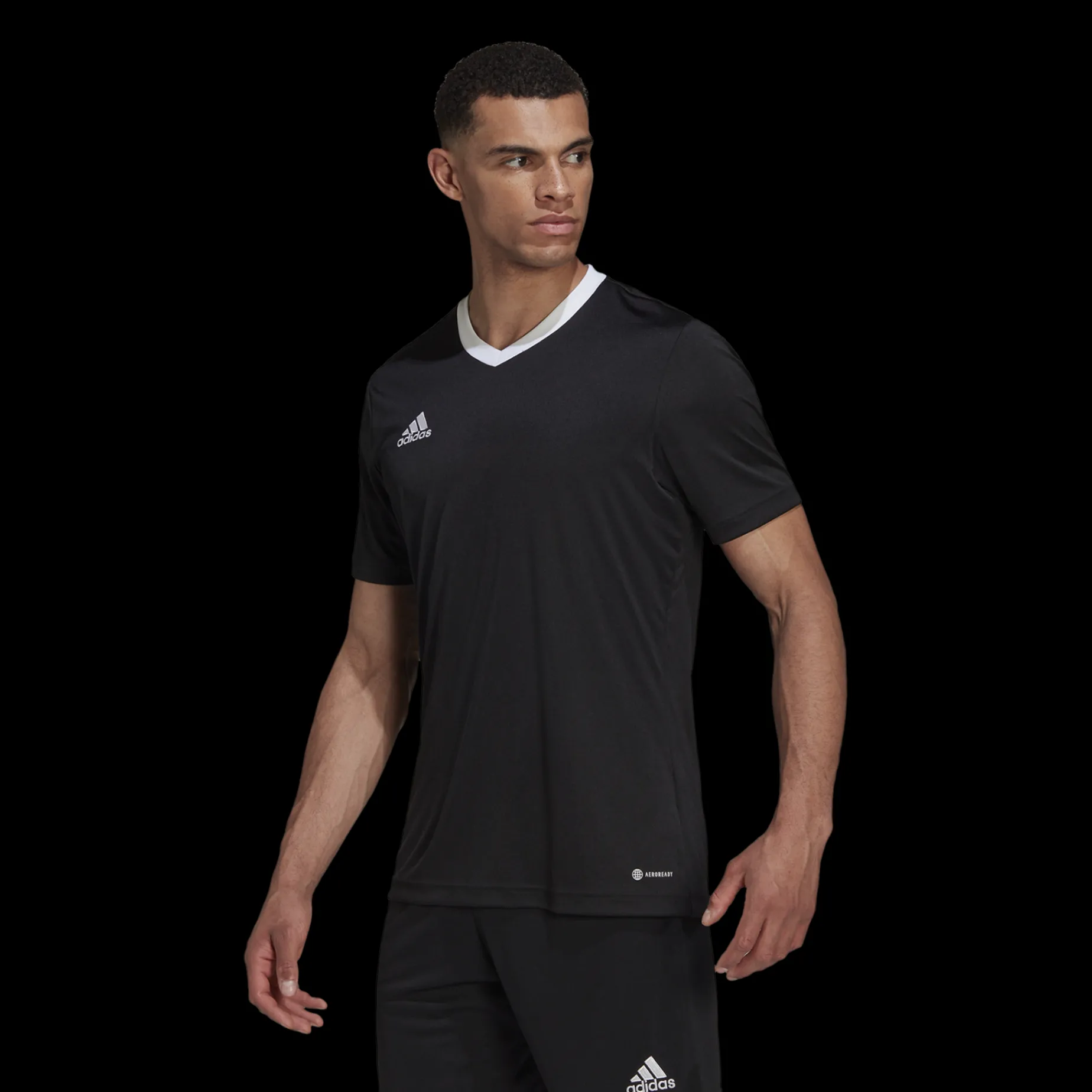 Ent22 Jersey, T-Shirt Herr