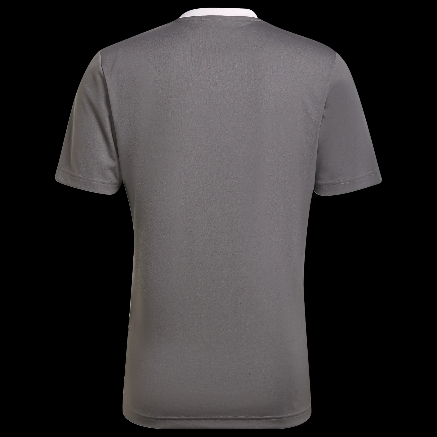 Ent22 Jsy, T-Shirt Herr