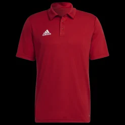 Ent22 Polo, Polotroja Herr