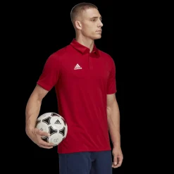 Ent22 Polo, Polotroja Herr