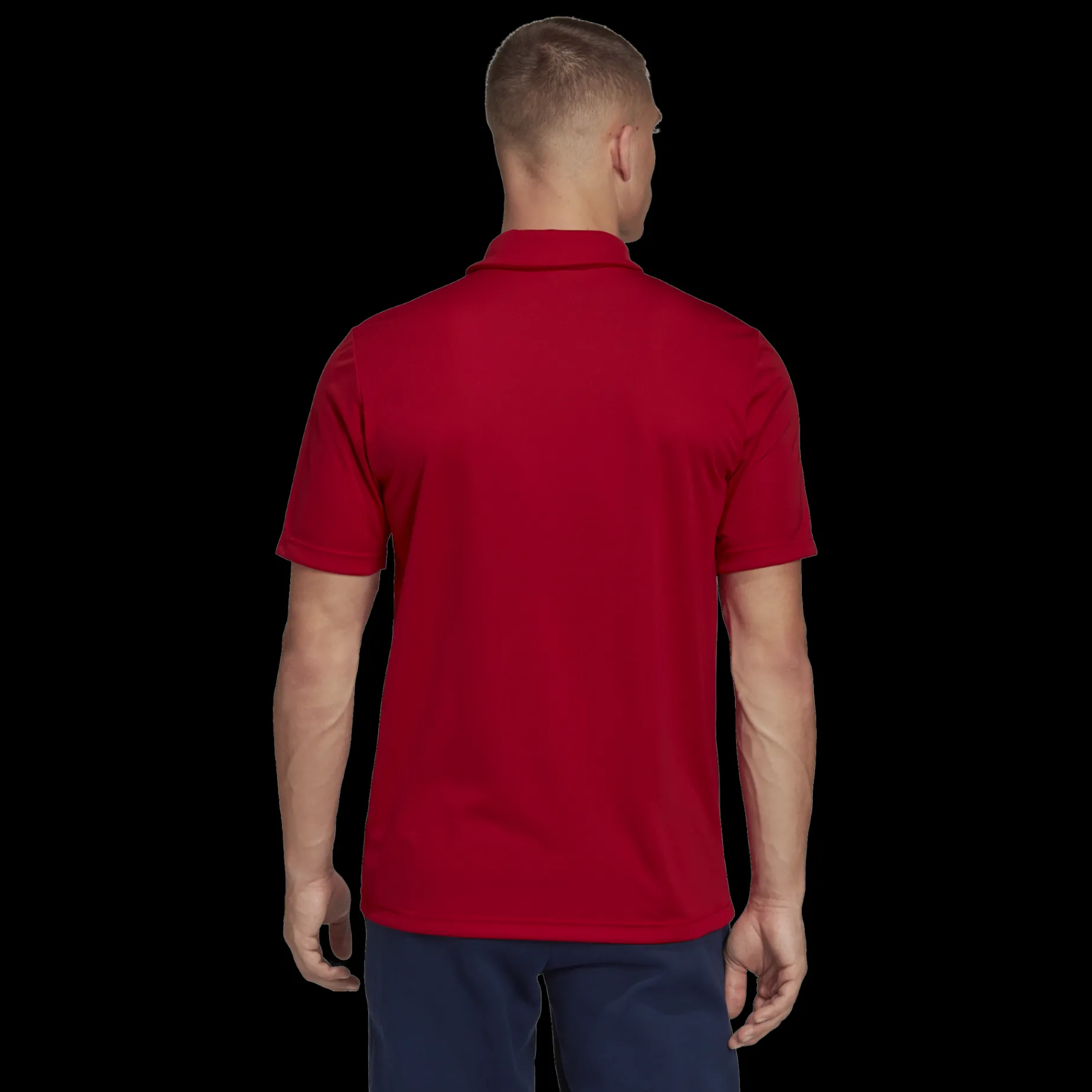 Ent22 Polo, Polotroja Herr