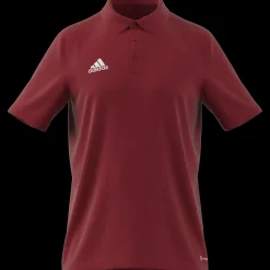 Ent22 Polo, Polotroja Herr