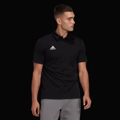 Ent22 Polo, Polotroja Herr