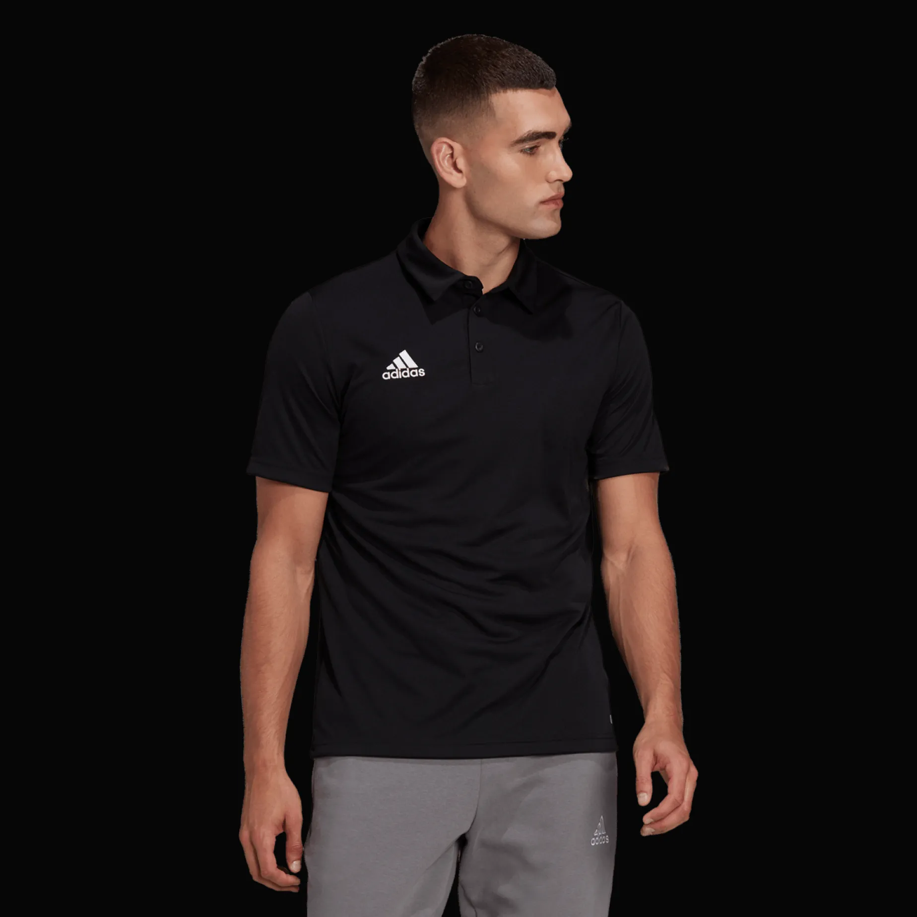 Ent22 Polo, Polotroja Herr