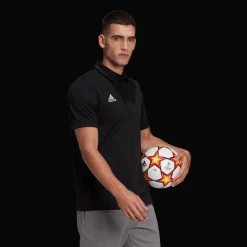 Ent22 Polo, Polotroja Herr