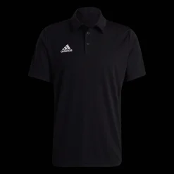 Ent22 Polo, Polotroja Herr