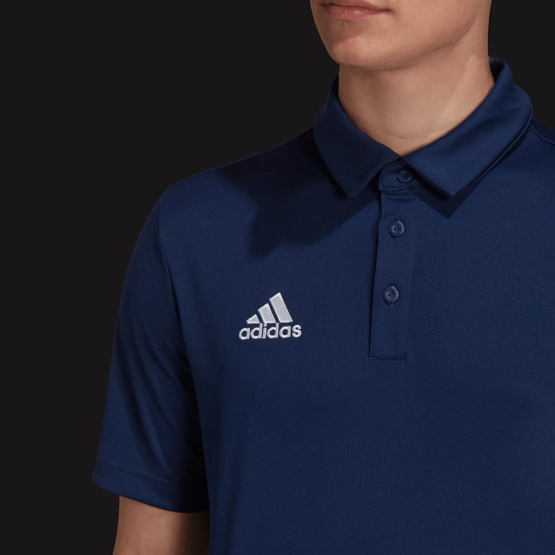 Ent22 Polo, Polotroja Herr