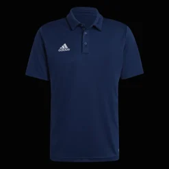 Ent22 Polo, Polotroja Herr