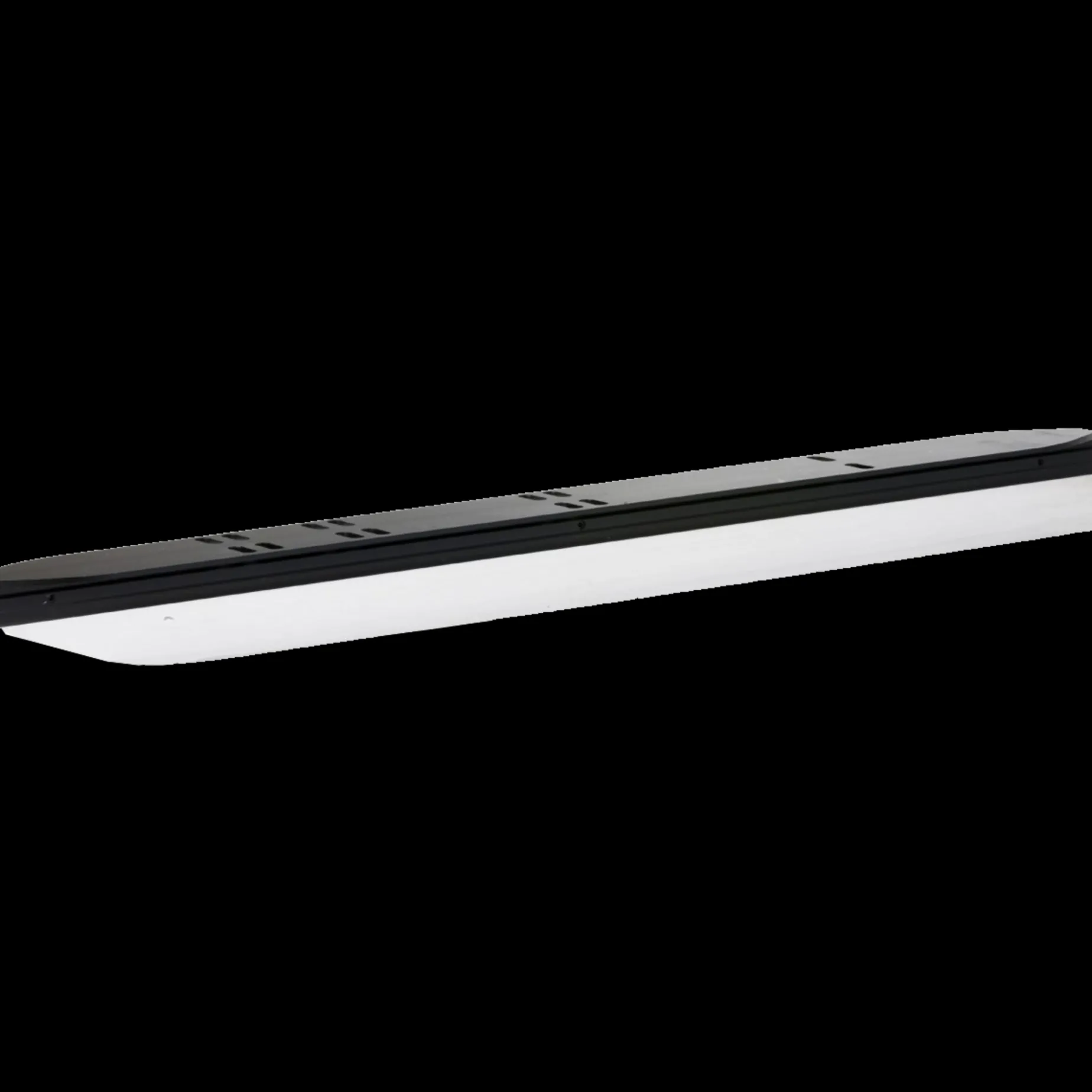 Nordic Skate T-Skate Pro 22/23, Turskridsko