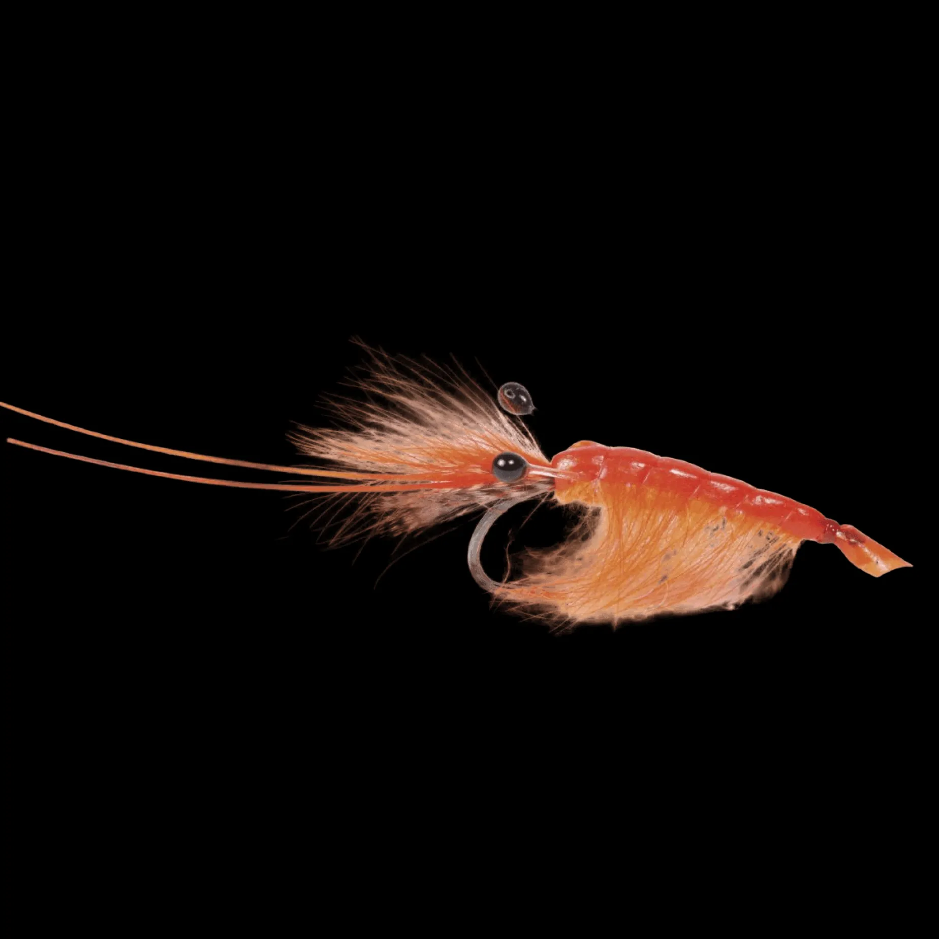 Orange Cdc Shrimp #6