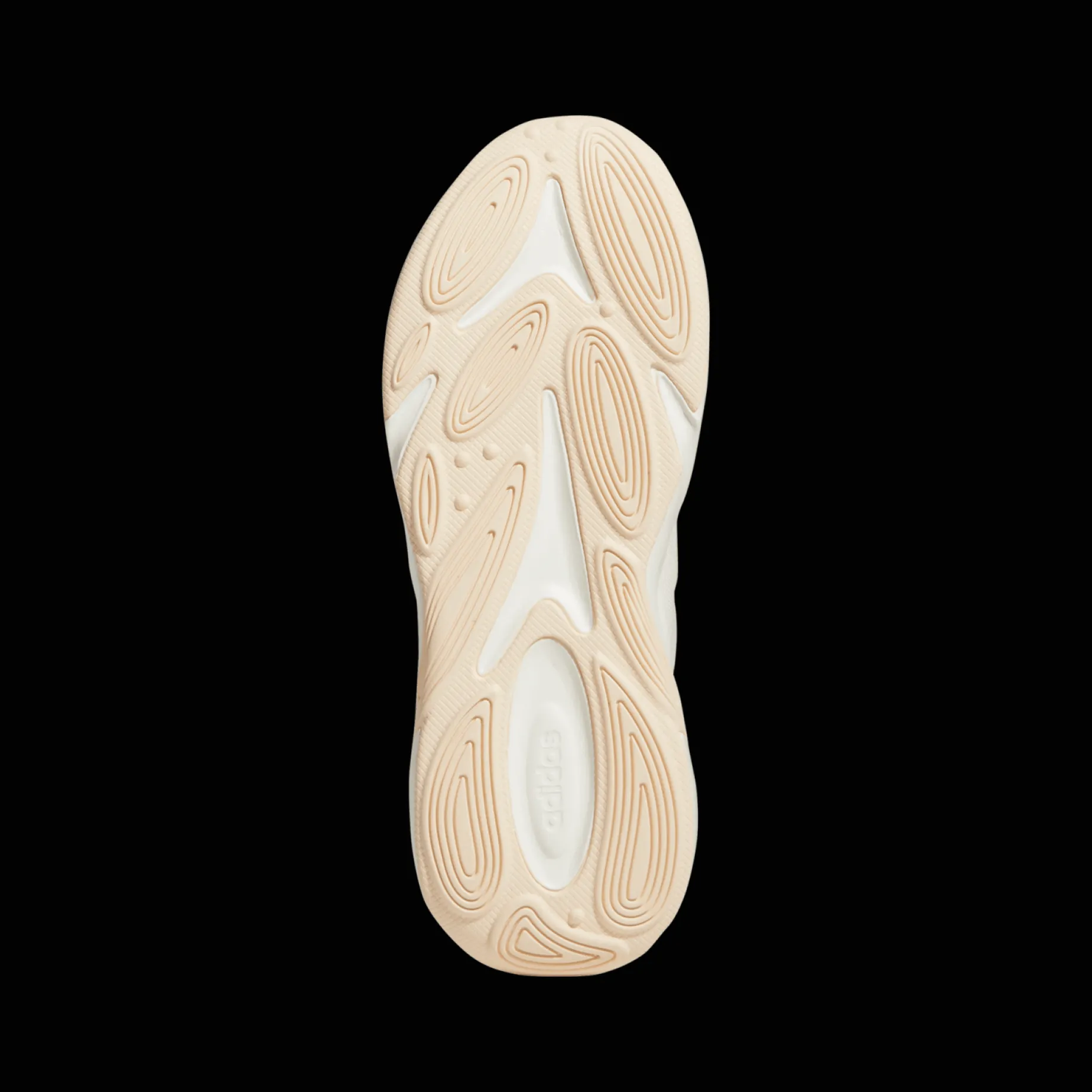 Ozelle, Sneakers Dam