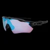 Radar Ev Path Matte Black Prizm Snow Sapphire Irid, Multisportglasogon