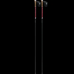 Roller Ski Pole Roadline 3 22