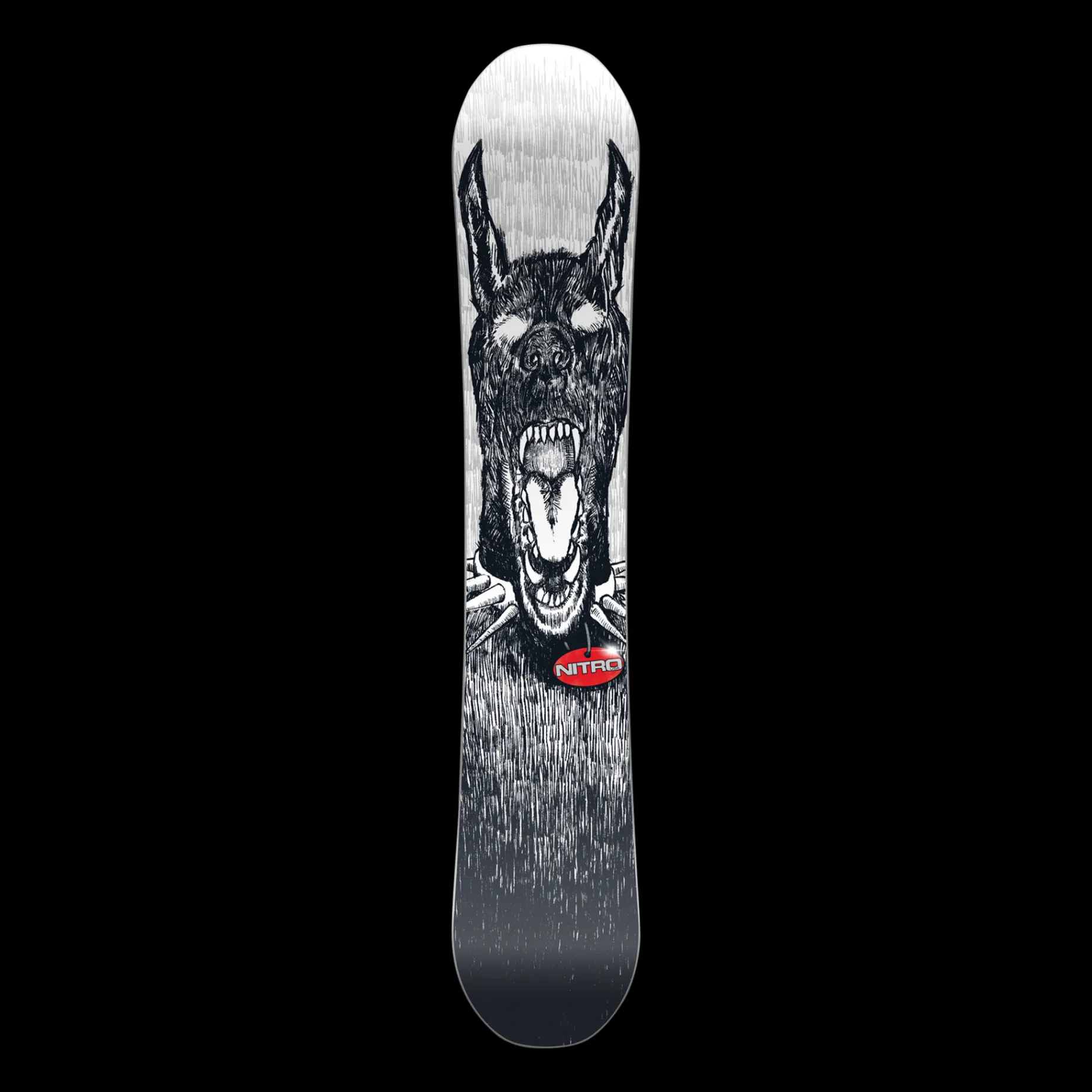 Snowboard T1 22/23, Snowboard Herr