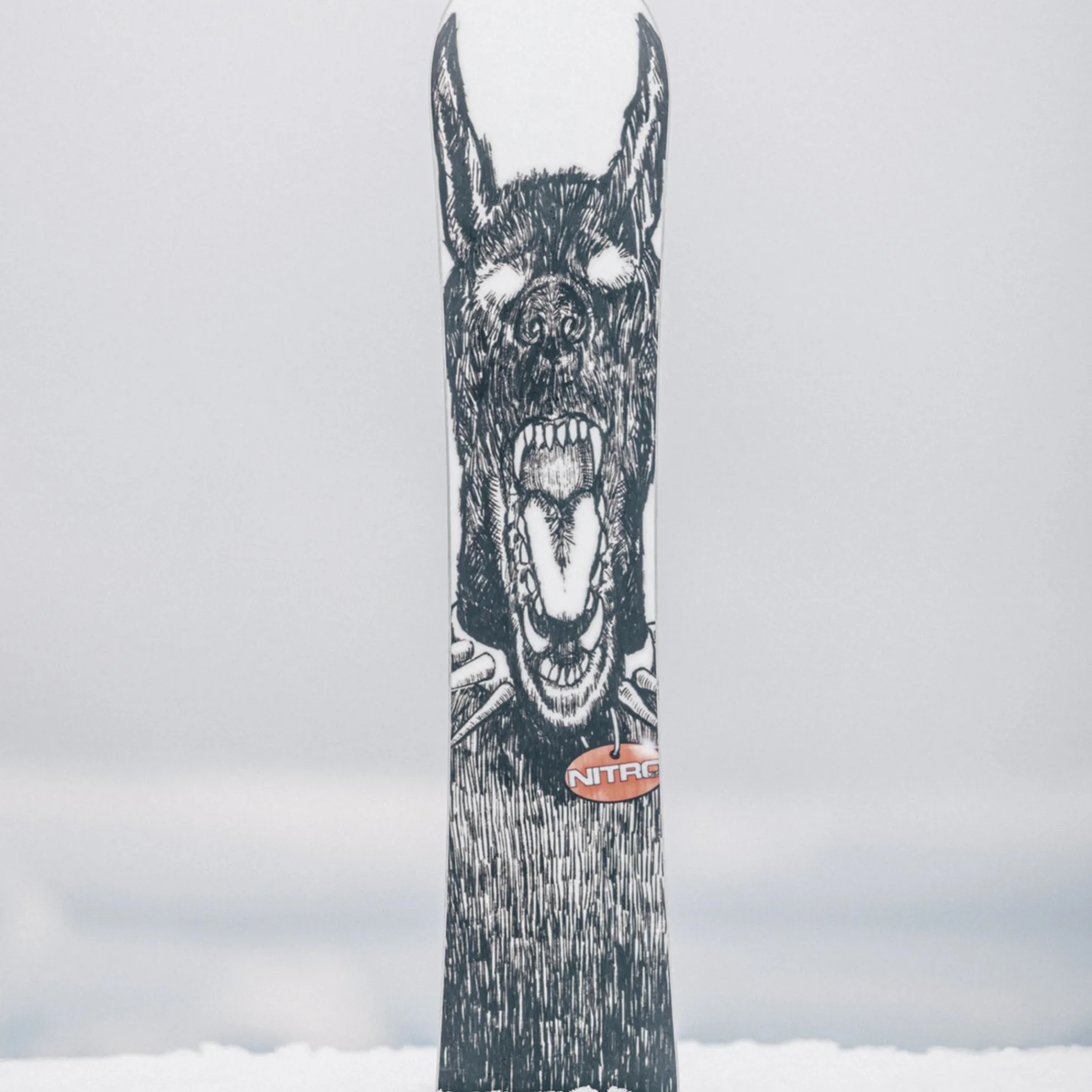 Snowboard T1 22/23, Snowboard Herr