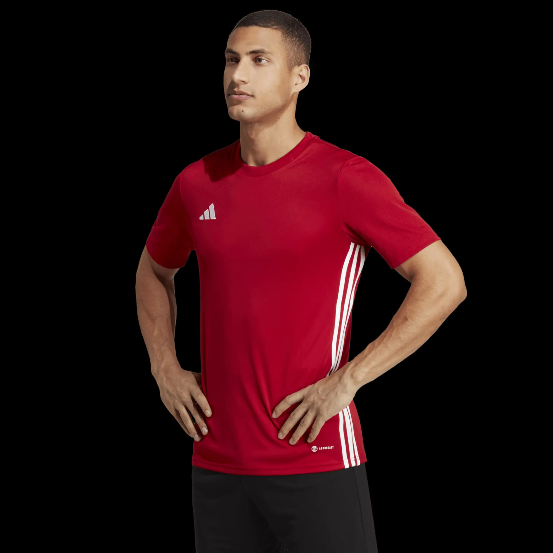 Tabela 23 Jersey, Traningstroja Herr