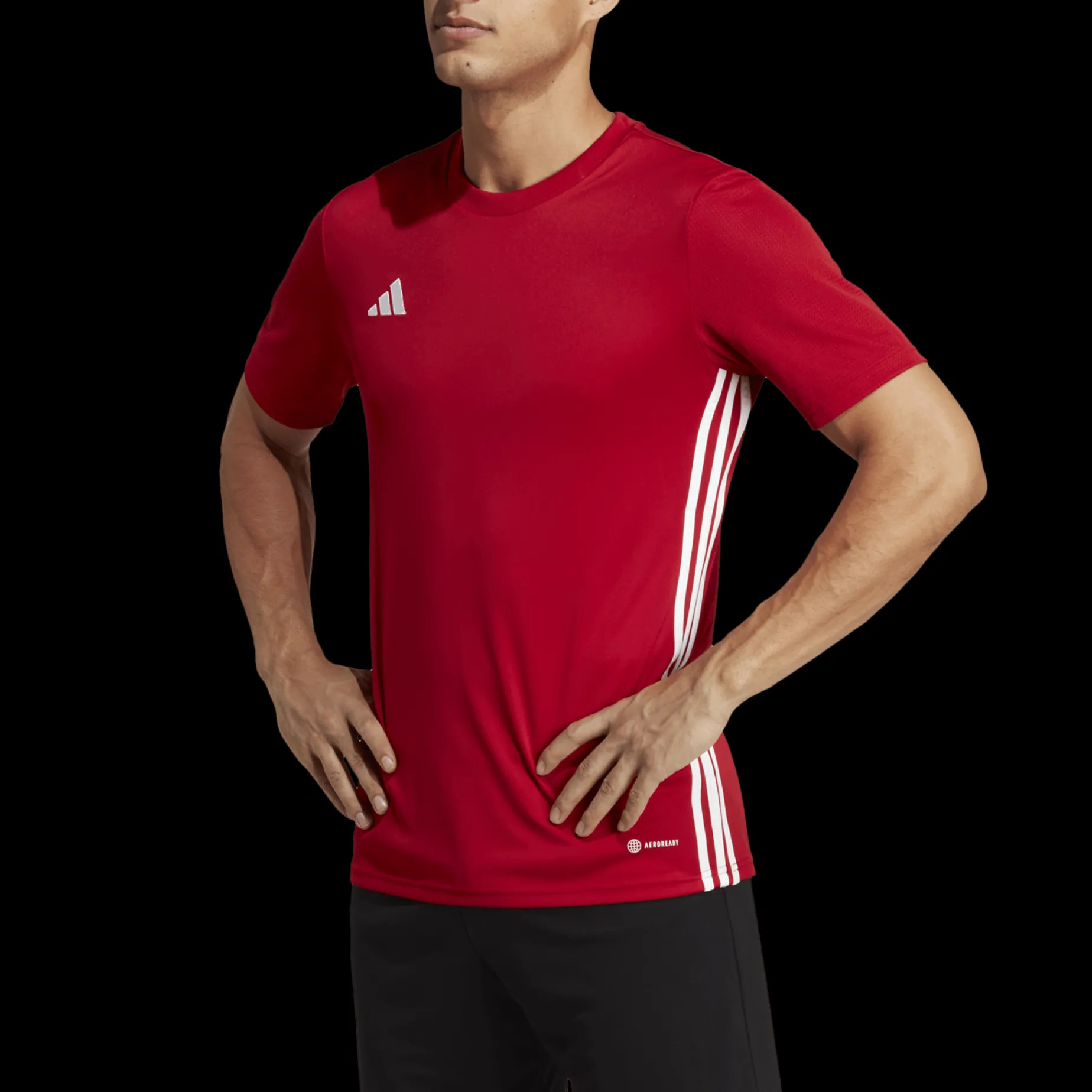 Tabela 23 Jersey, Traningstroja Herr