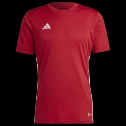 Tabela 23 Jersey, Traningstroja Herr