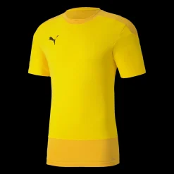 Teamgoal 23 Training Jersey, T-Shirt Herr
