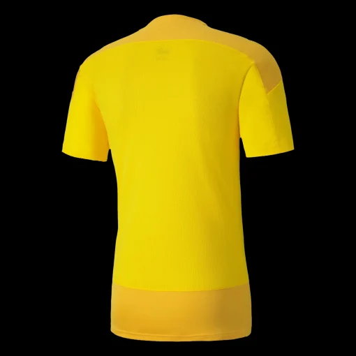 Teamgoal 23 Training Jersey, T-Shirt Herr