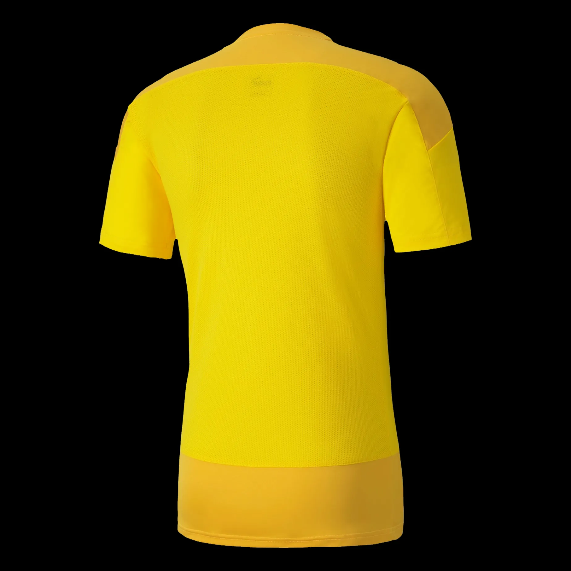 Teamgoal 23 Training Jersey, T-Shirt Herr