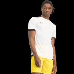 Teamliga Jersey, Traningstroja Herr