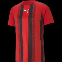 Teamliga Striped Jersey, Traningstroja Herr