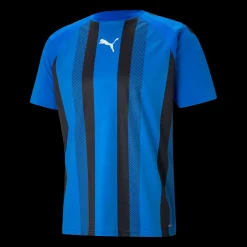 Teamliga Striped Jersey, Traningstroja Herr