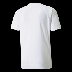 Teamliga Striped Jersey, Traningstroja Herr