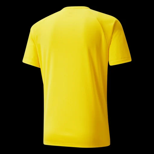 Teamliga Striped Jersey, Traningstroja Herr