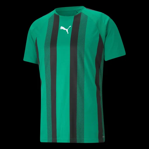 Teamliga Striped Jersey, Traningstroja Herr