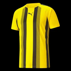 Teamliga Striped Jersey, Traningstroja Herr