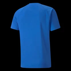 Teamliga Striped Jersey, Traningstroja Herr