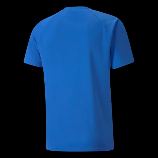 Teamliga Striped Jersey, Traningstroja Herr