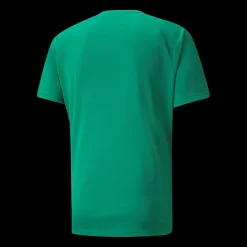 Teamliga Striped Jersey, Traningstroja Herr