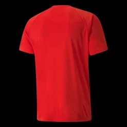 Teamliga Striped Jersey, Traningstroja Herr