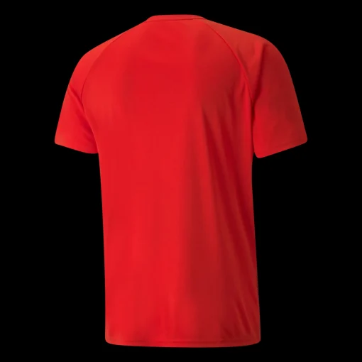 Teamliga Striped Jersey, Traningstroja Herr