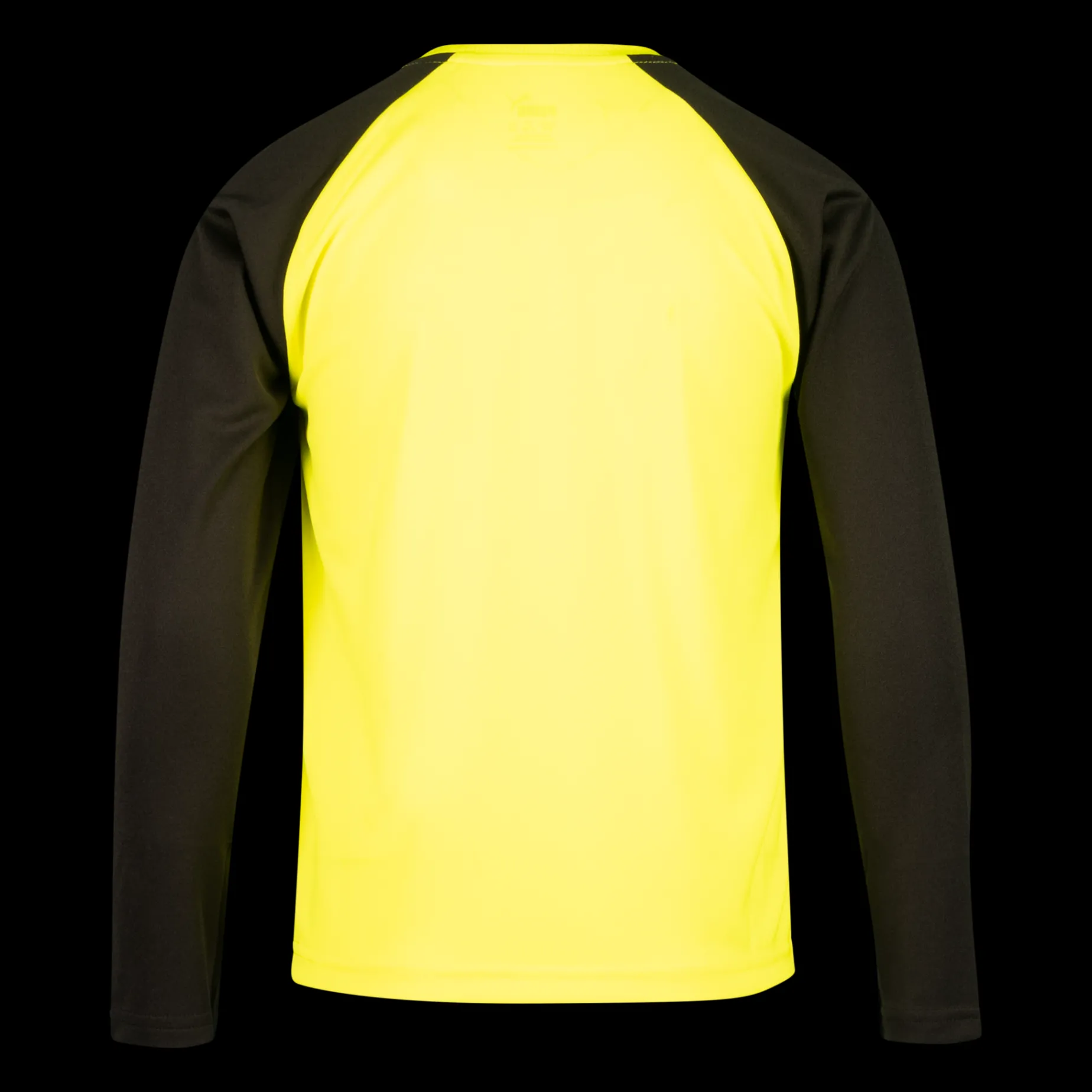 Teampacer Goalkeeper Long Sleeve Jersey, Malvaktstroja Junior